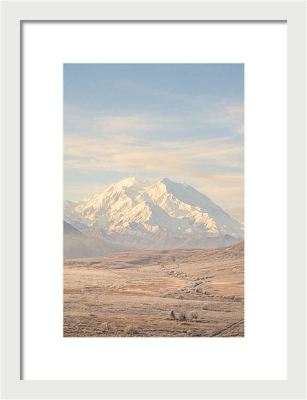 Denali Majestic Over Tundra