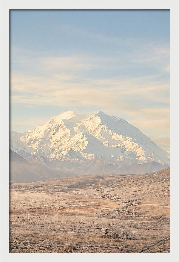 Denali Majestic Over Tundra