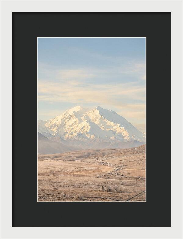 Denali Majestic Over Tundra