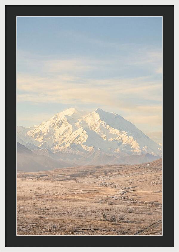 Denali Majestic Over Tundra