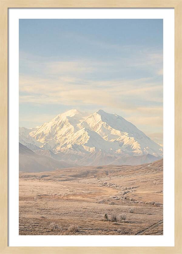 Denali Majestic Over Tundra