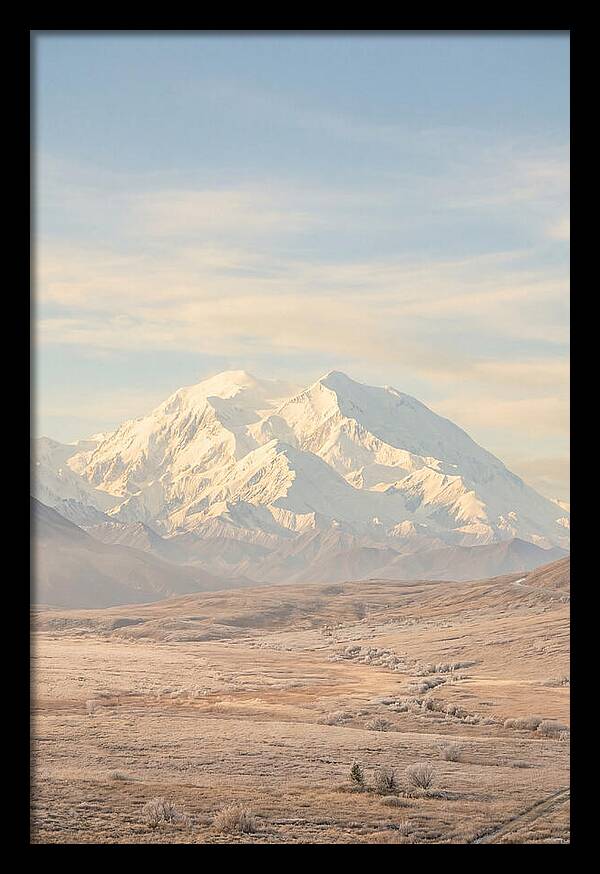 Denali Majestic Over Tundra