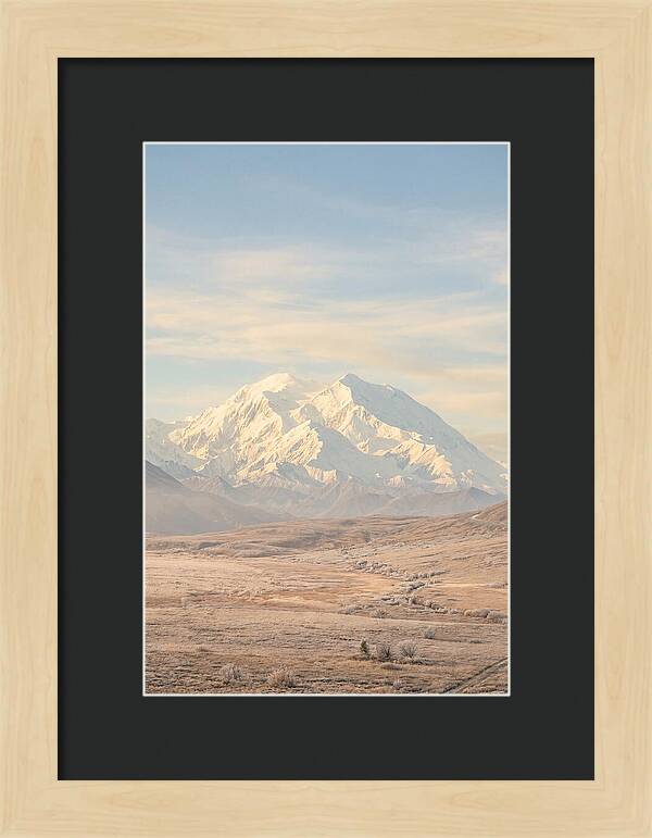 Denali Majestic Over Tundra
