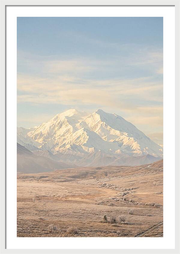 Denali Majestic Over Tundra