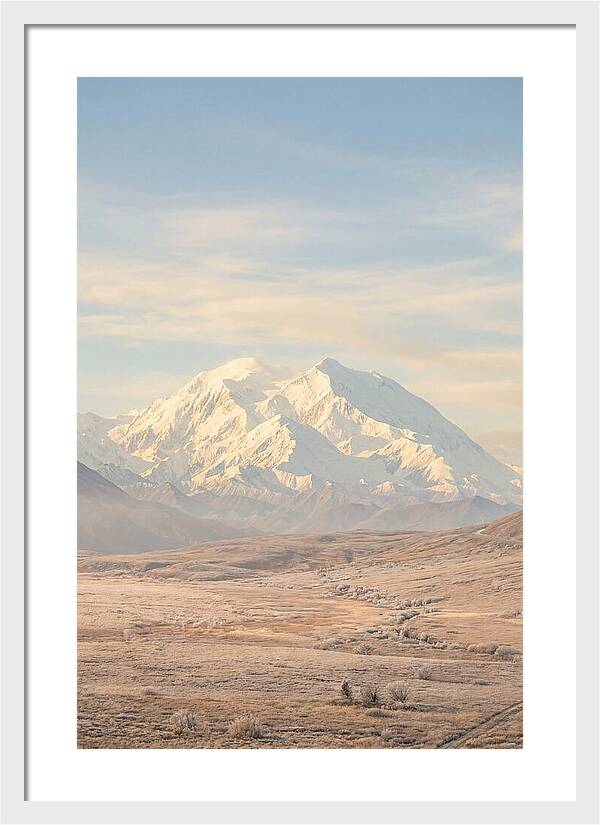 Denali Majestic Over Tundra