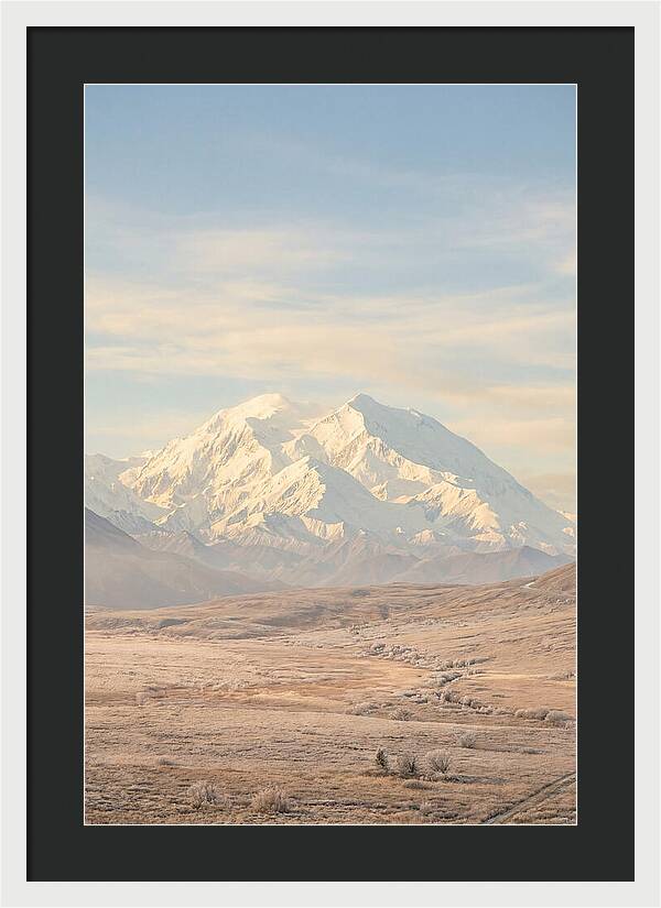 Denali Majestic Over Tundra