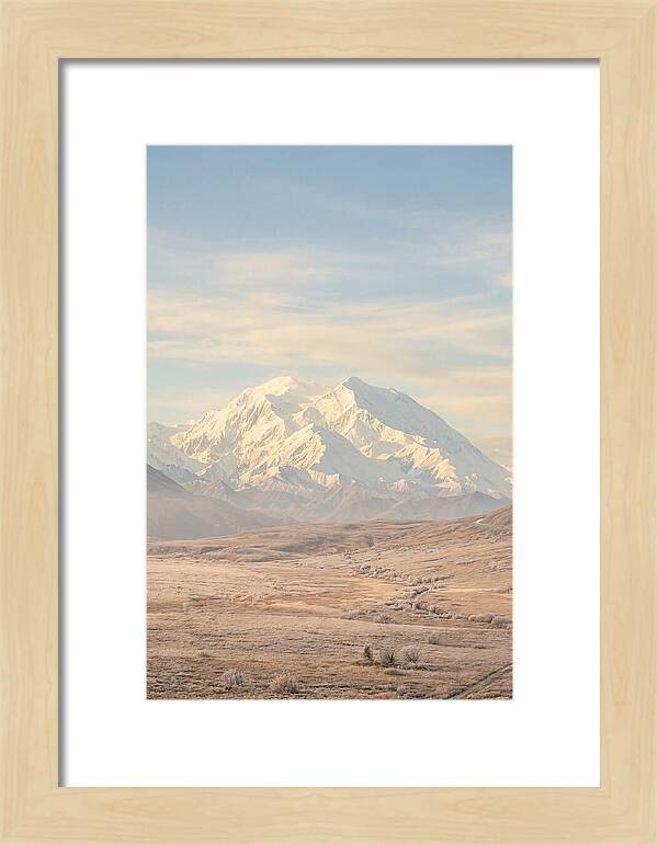 Denali Majestic Over Tundra