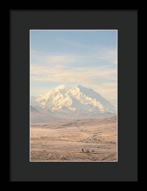 Denali Majestic Over Tundra