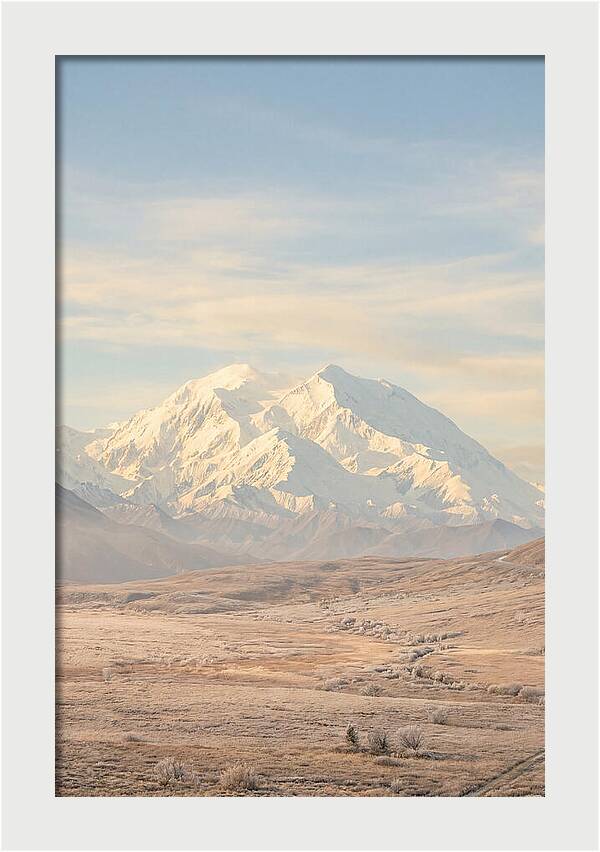Denali Majestic Over Tundra