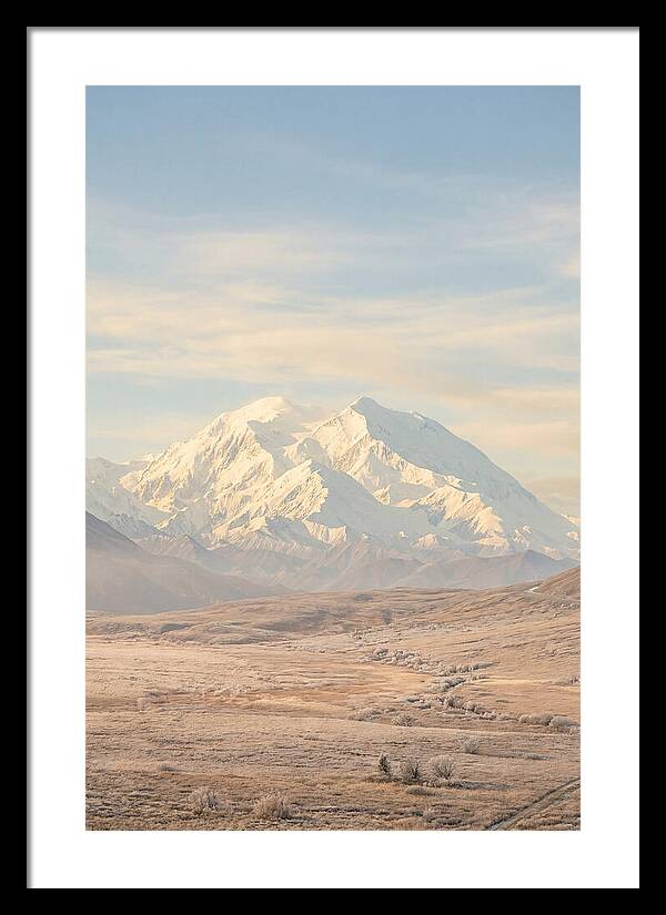 Denali Majestic Over Tundra