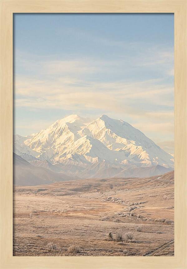Denali Majestic Over Tundra