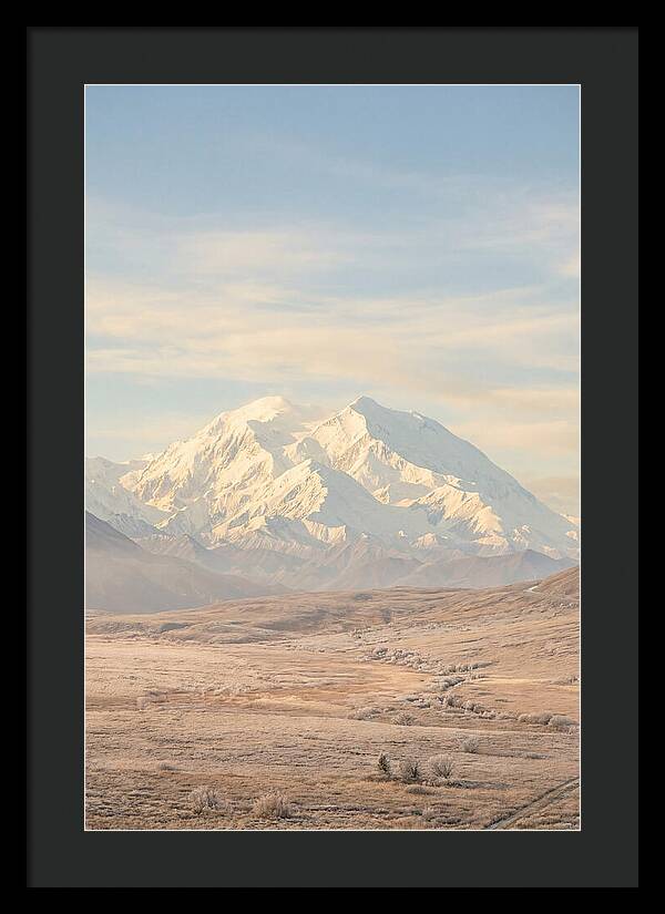 Denali Majestic Over Tundra