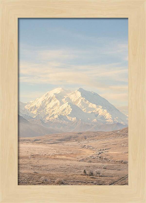 Denali Majestic Over Tundra