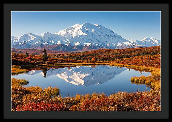 Denali Reflections In Autumn