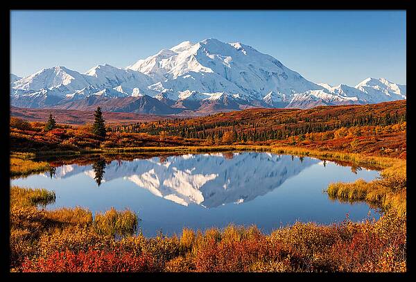 Denali Reflections In Autumn