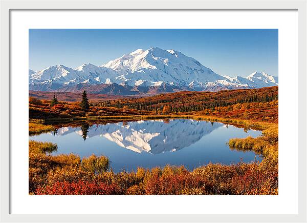 Denali Reflections In Autumn