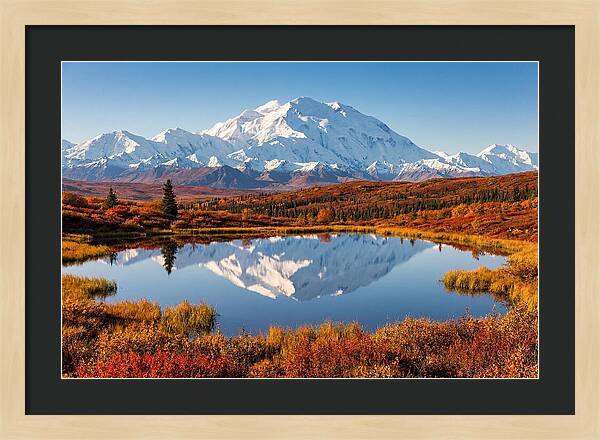 Denali Reflections In Autumn