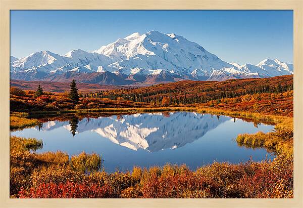 Denali Reflections In Autumn