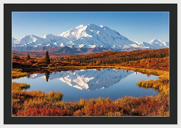 Denali Reflections In Autumn