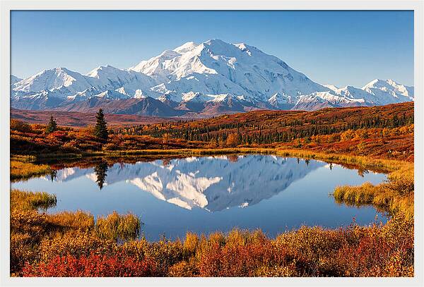 Denali Reflections In Autumn