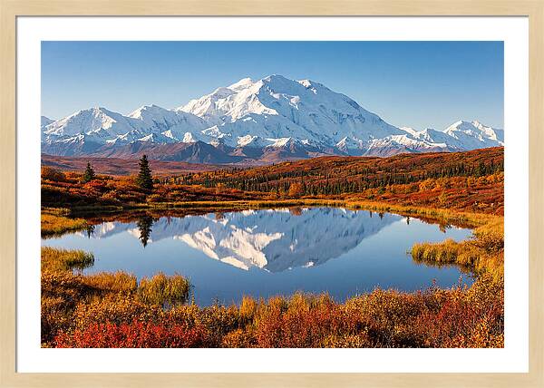 Denali Reflections In Autumn