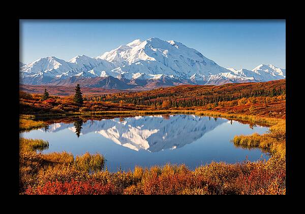 Denali Reflections In Autumn