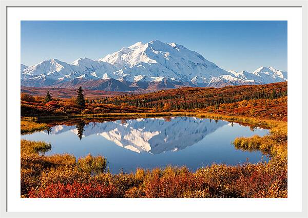 Denali Reflections In Autumn