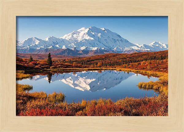 Denali Reflections In Autumn