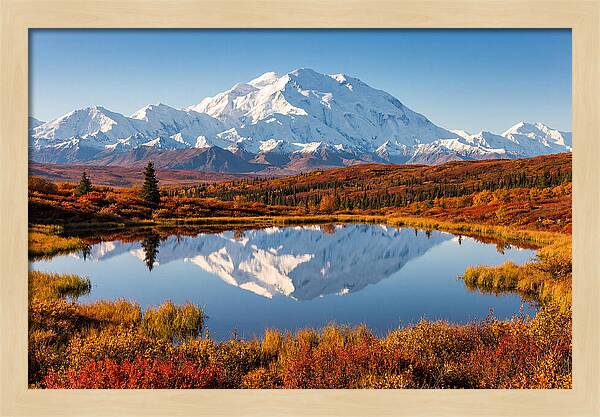 Denali Reflections In Autumn