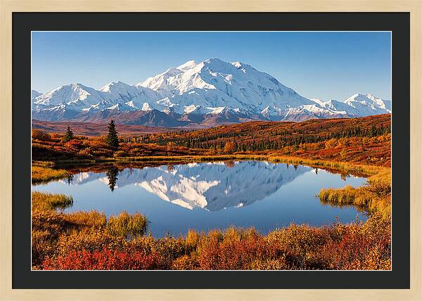 Denali Reflections In Autumn