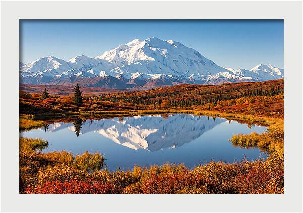 Denali Reflections In Autumn