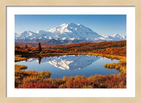 Denali Reflections In Autumn