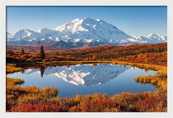 Denali Reflections In Autumn