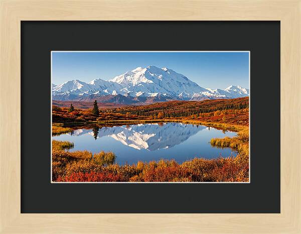 Denali Reflections In Autumn