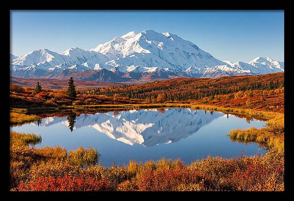 Denali Reflections In Autumn