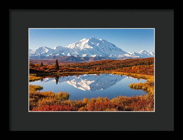 Denali Reflections In Autumn