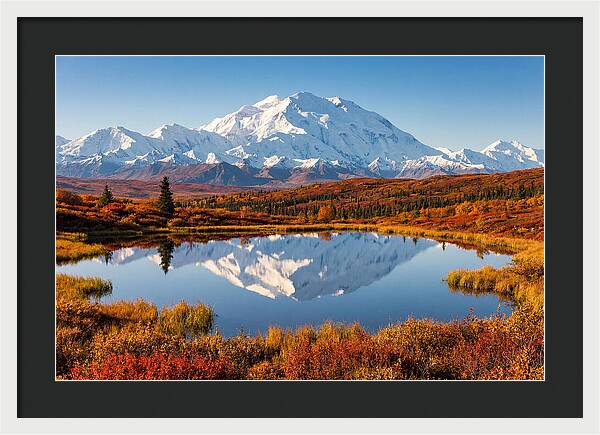Denali Reflections In Autumn