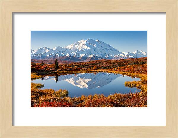 Denali Reflections In Autumn