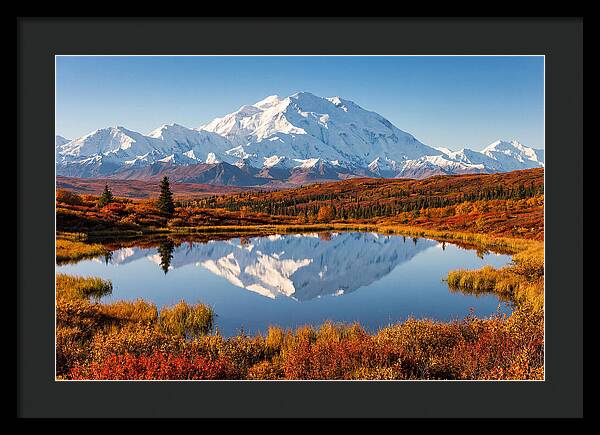 Denali Reflections In Autumn