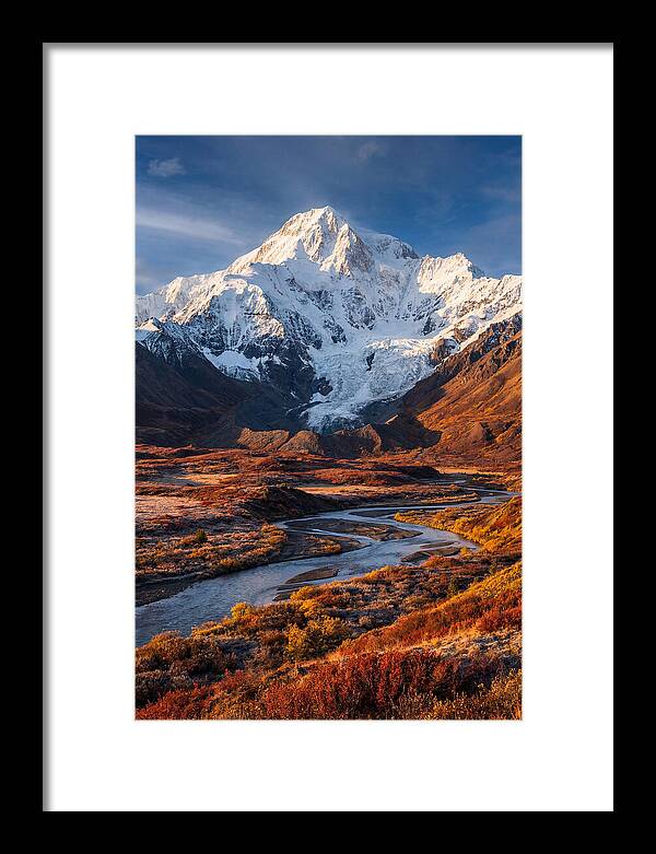 Denali Rising Above Tundra