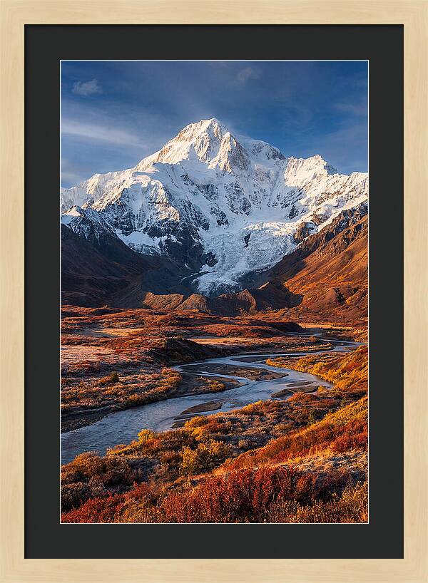 Denali Rising Above Tundra