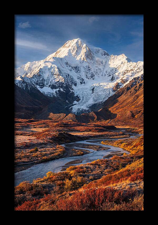 Denali Rising Above Tundra