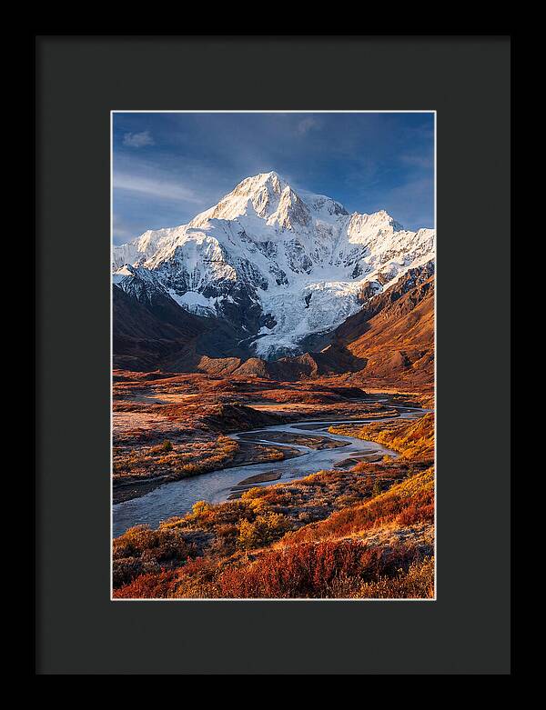 Denali Rising Above Tundra