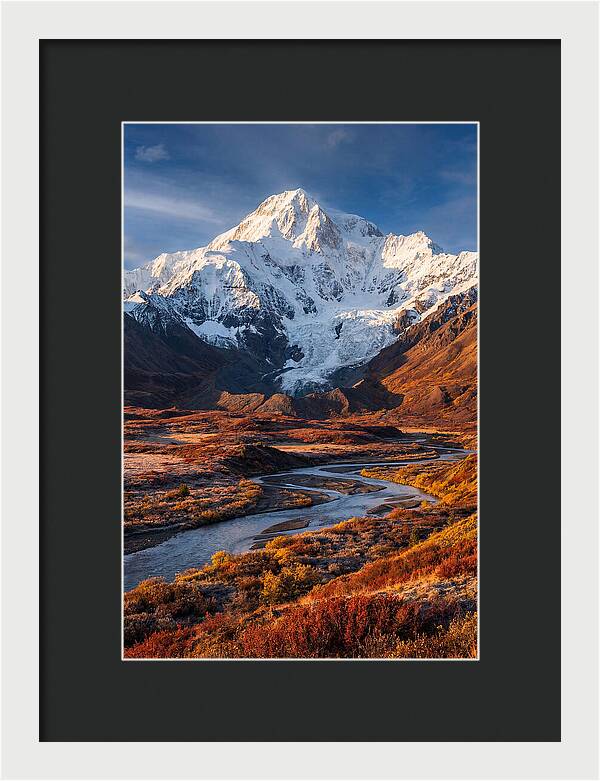Denali Rising Above Tundra