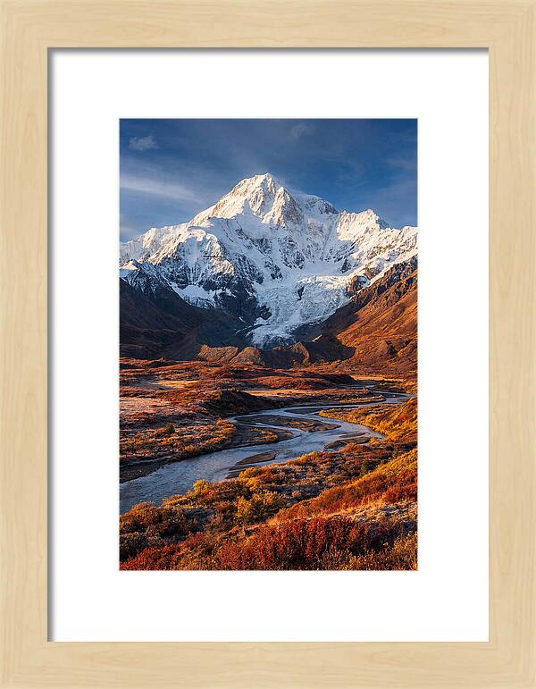 Denali Rising Above Tundra