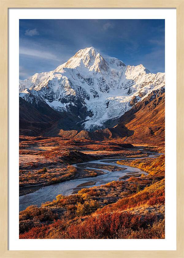 Denali Rising Above Tundra