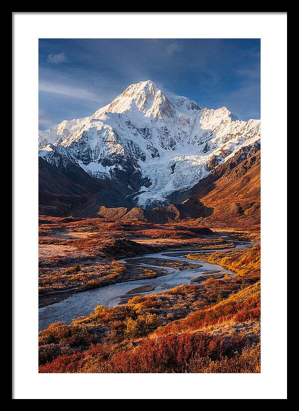 Denali Rising Above Tundra