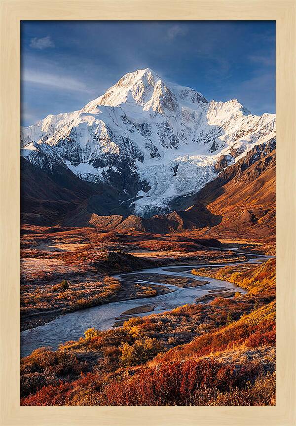 Denali Rising Above Tundra