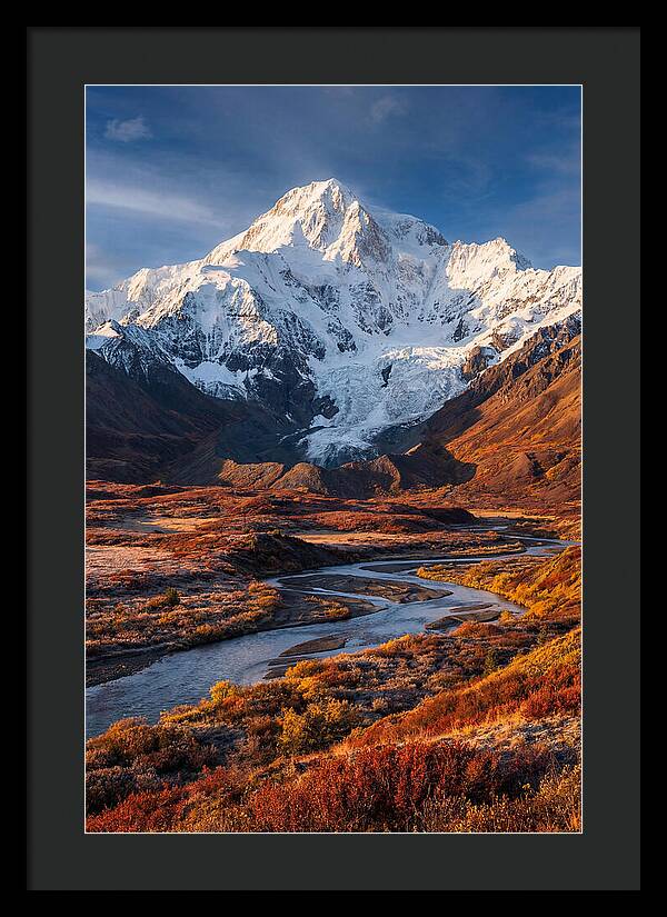 Denali Rising Above Tundra