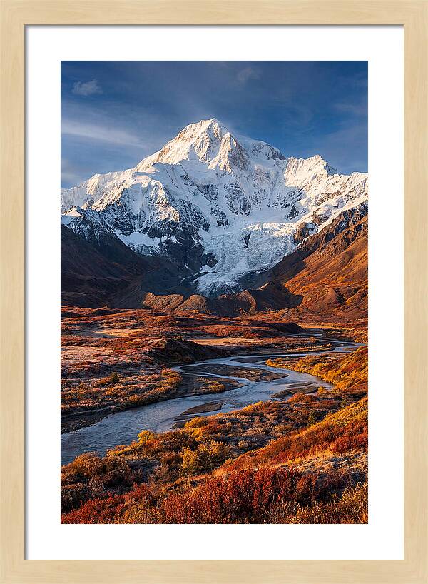 Denali Rising Above Tundra